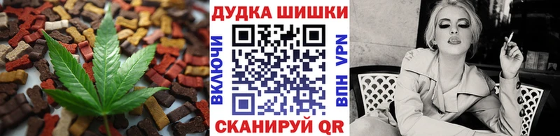 omg ССЫЛКА Суворов Cannafood конопля цены